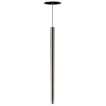 Canna Nuda Metallo Pendant - Chrome