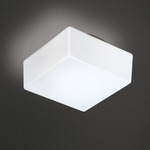 Matrix Ceiling Light / Wall Sconce - White / Opal White