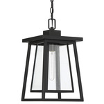 Denver Outdoor Pendant - Matte Black / Clear Seeded