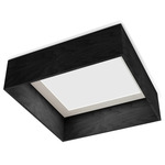 Quad Flush Ceiling Light - Ebony / White