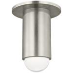 Ebell Ceiling Light - Antique Nickel / Clear