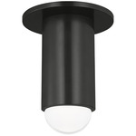 Ebell Ceiling Light - Dark Bronze / Clear