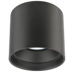 Downtown Color Select Round Outdoor Ceiling Light - Black / Clear