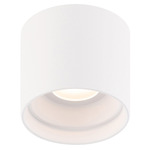 Downtown Round Outdoor Ceiling Light - White / Clear