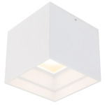 Downtown Color Select Square Outdoor Ceiling Light - White / Clear