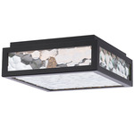Hawthorne Outdoor Wall / Ceiling Light - Black / Clear Hammered