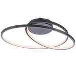 Marques Wall / Ceiling Light - Black / White