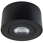 Peek Color Select Outdoor Gimbal Ceiling Light - Black / Clear