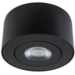 Peek Outdoor Gimbal Ceiling Light - Black / Clear