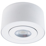 Peek Color Select Outdoor Gimbal Ceiling Light - White / Clear