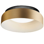Aspen C40 Ceiling Light - Black / Brass
