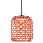 Nans Outdoor Pendant - Graphite Brown / Red