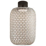 Nans Outdoor Ceiling Light - Graphite Brown / Beige