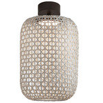 Nans Outdoor Ceiling Light - Graphite Brown / Beige