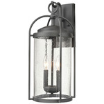 Catalonia Outdoor Wall Sconce - Zinc / Clear Seeded