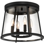 Daulle Outdoor Ceiling Light - Satin Black / Clear