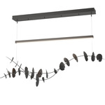 Lily Linear Pendant - Black / Oil Rubbed Bronze