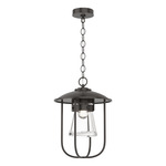 Erlenmeyer Outdoor Pendant - Coastal Oil Rubbed Bronze / Clear