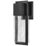 Alex Outdoor Wall Sconce - Black / Clear Seedy