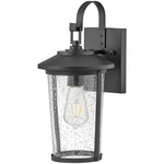 Banks Outdoor Wall Sconce - Black / Clear Seedy