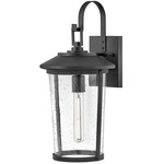 Banks Outdoor Wall Sconce - Black / Clear Seedy