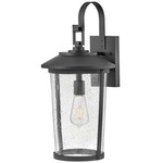 Banks Outdoor Wall Sconce - Black / Clear Seedy