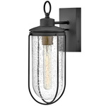 Moby Outdoor Wall Sconce - Black / Clear Seedy
