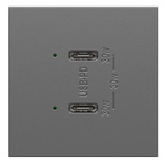 Adorne 20A Ultra Fast C / C USB Dual Outlet - Magnesium