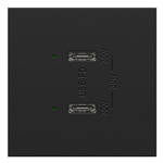 Adorne 20A Ultra Fast C / C USB Dual Outlet - Graphite