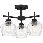 Camrin Convertible Chandelier - Coal / Clear