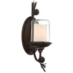 Ponderosa Ridge Wall Sconce - Weathered Spruce / Clear