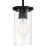 Haisley Convertible Pendant - Coal / Clear