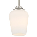 Shyloh Convertible Pendant - Brushed Nickel / Etched Opal