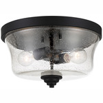 Shyloh Flush Mount Ceiling Light - Coal / Clear Seeded