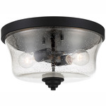 Shyloh Flush Mount Ceiling Light - Coal / Clear Seeded