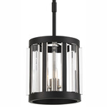 Majestic Splendor Tall Pendant - Coal / Polished Nickel / Clear