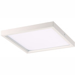 Square Flush Mount Ceiling Light - White / White