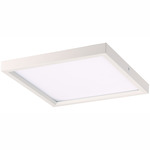 Square Flush Mount Ceiling Light - White / White