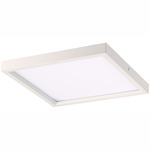 Vantage Square Ceiling Light - White / White