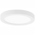 Round Flush Mount Ceiling Light - White / White