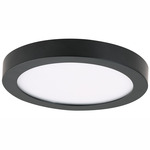 Round Flush Mount Ceiling Light - Coal / White