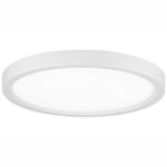Round Flush Mount Ceiling Light - White / White