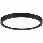 Round Flush Mount Ceiling Light - Coal / White