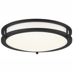 71 Series Flush Mount Ceiling Light - Coal / White