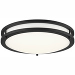 71 Series Flush Mount Ceiling Light - Coal / White