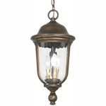 Havenwood Outdoor Pendant - Tauira Bronze / Clear Hammered