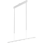 Aurora Linear Pendant - Matte White / Acrylic