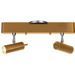 Focus Adjustable Linear Ceiling Light - Brushed Gold / Acrylic