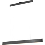 Prometheus Linear Pendant - Satin Dark Gray / Acrylic