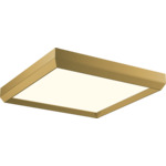 Skylight Flush Ceiling Light - Brushed Champagne / Acrylic